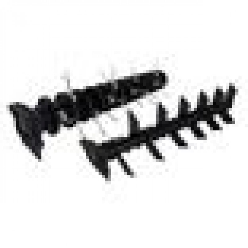 Бензиновий аератор HECHT 5677 2-in-1 (2 вала в комплекті)