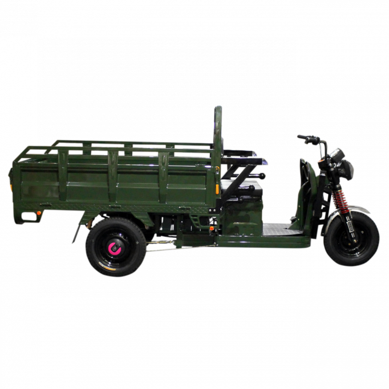 Електричний мопед TRIGO JJ1.6 1000W/60V/35AH(DZM) (зеленый)