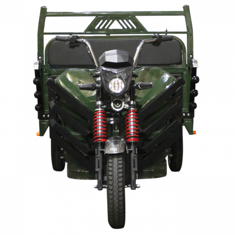 Електричний мопед TRIGO JJ1.6 1000W/60V/35AH(DZM) (зеленый)