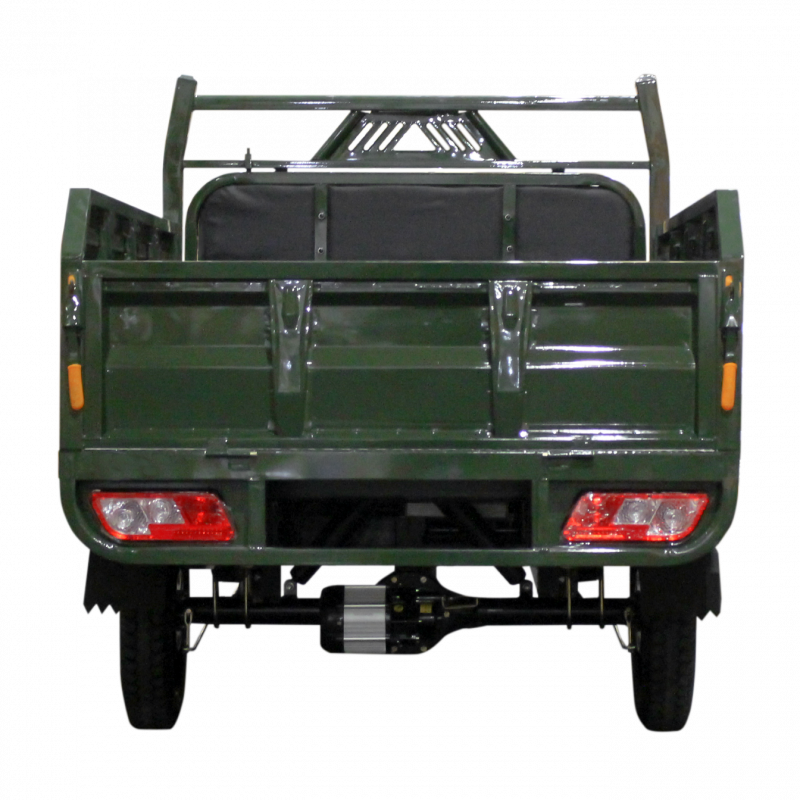 Електричний мопед TRIGO JJ1.6 1000W/60V/35AH(DZM) (зеленый)