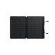 Сонячна панель EcoFlow 60W Solar Panel (артикул: EFSOLAR60)