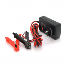 Автоматичне ЗУ для акумулятора RJTianye  6V/12V,100-240V,2A,клеми(AGM/GEL,Lead)
