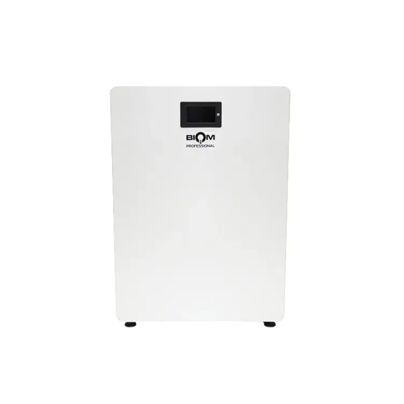 Акумуляторна батарея Biom Professional 48В (51.2В) BALFP-512200-V1 10кВтч
