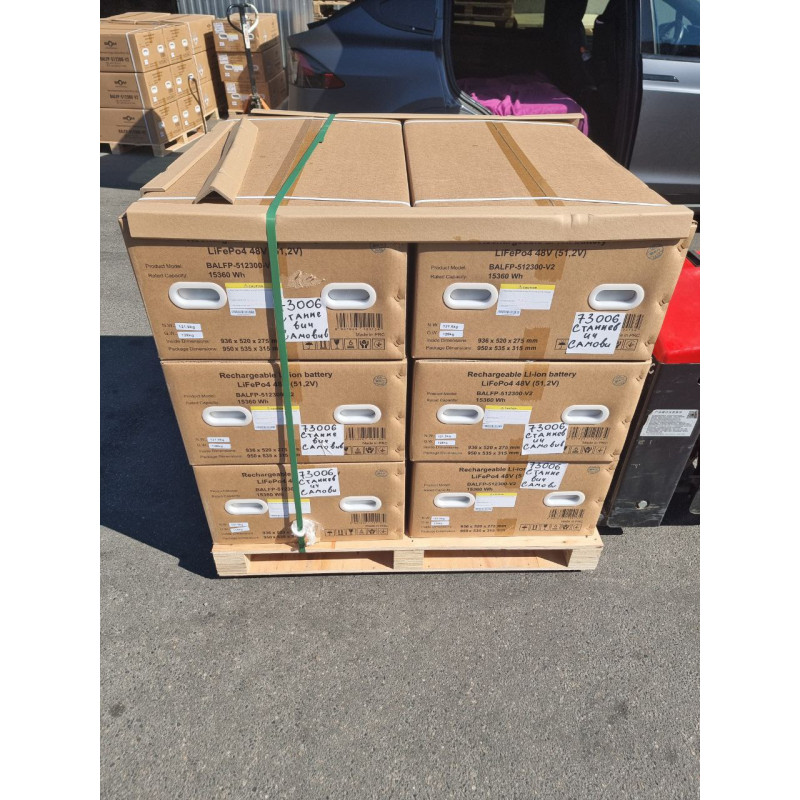Акумуляторна батарея Biom Professional 48В (51.2В) BALFP-512200-V1 10кВтч