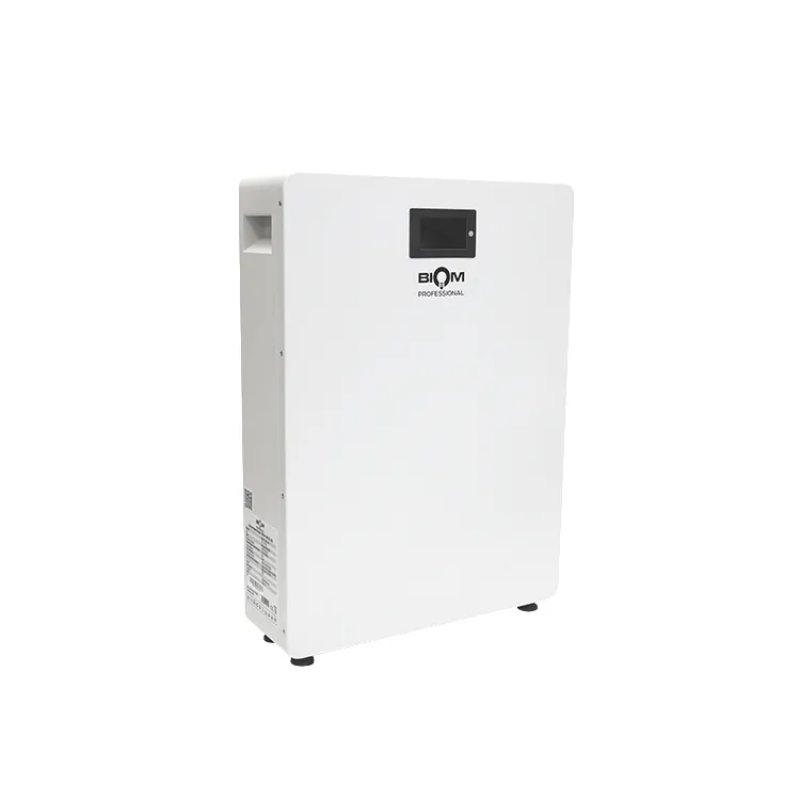 Акумуляторна батарея Biom Professional BALFP-512300-V2 48В (51.2В) 15кВтч з автоматами на корпусі та новим великим сенсорним екраном