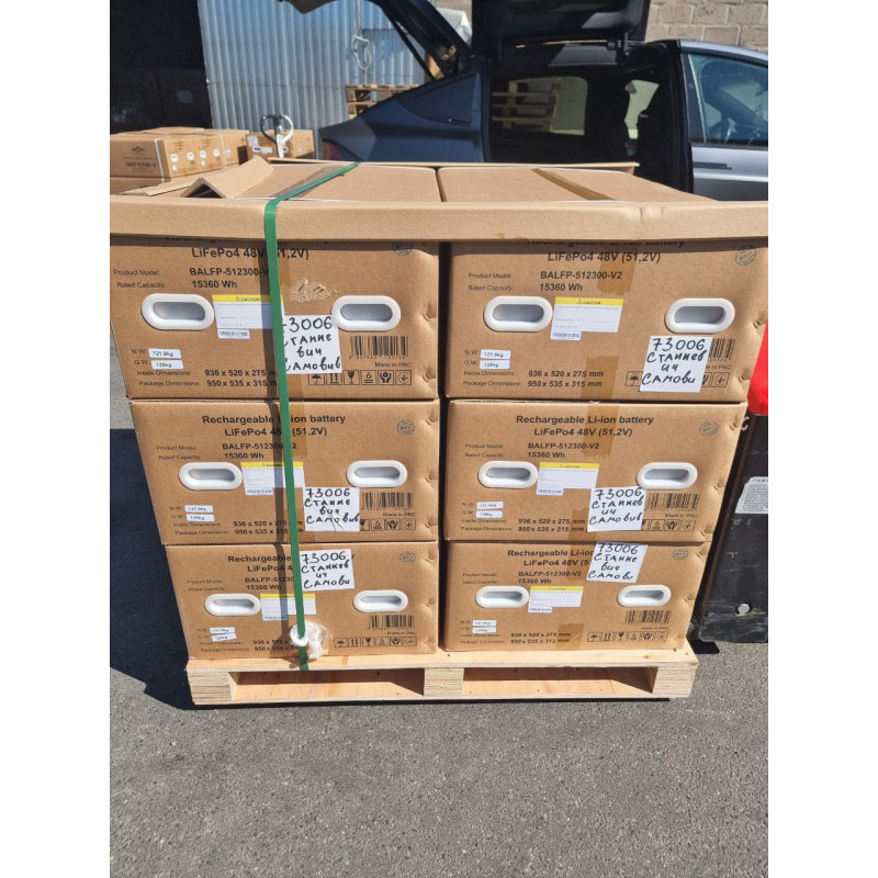 Акумуляторна батарея Biom Professional BALFP-512300-V2 48В (51.2В) 15кВтч з автоматами на корпусі та новим великим сенсорним екраном
