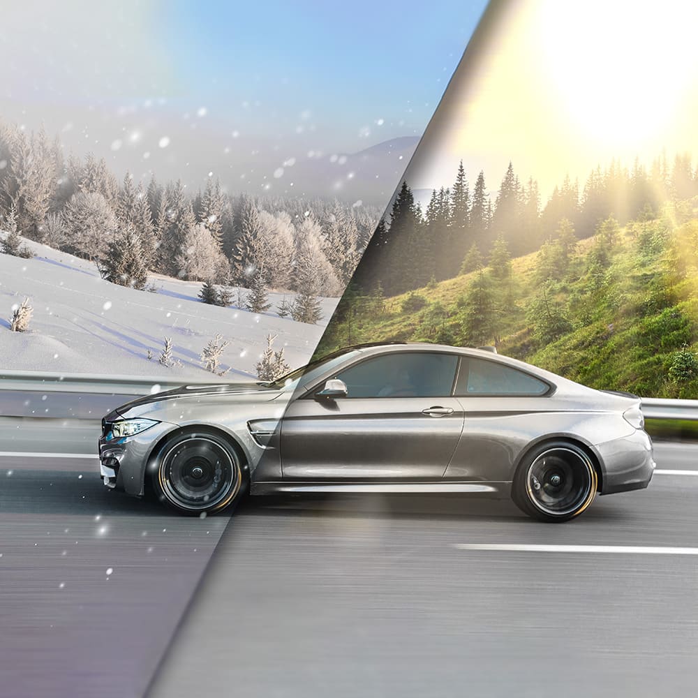 Відмінна адаптивність