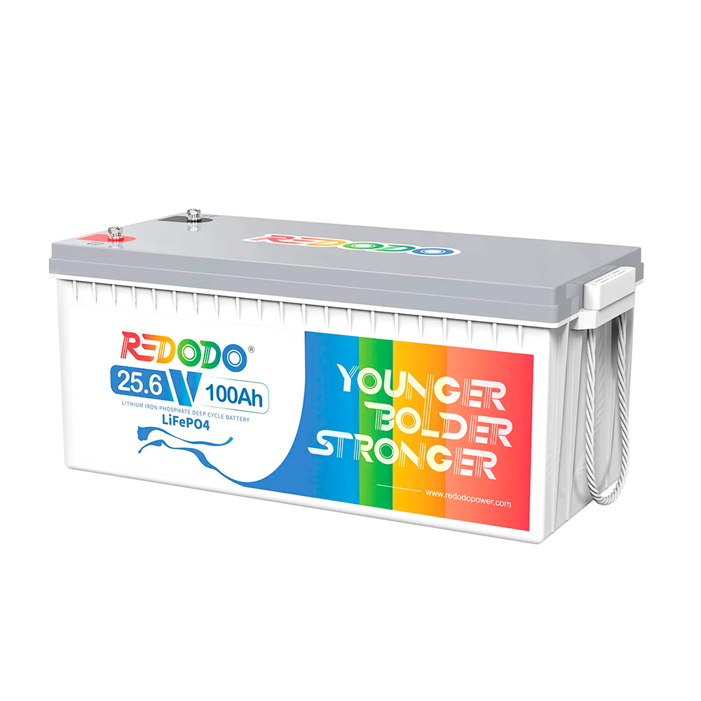 Аккумуляторна батарея Redodo 24V 100Ah 2560Wh LiFePO4 (100/100A)(532*207*215)